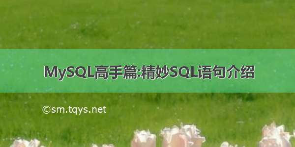 MySQL高手篇:精妙SQL语句介绍