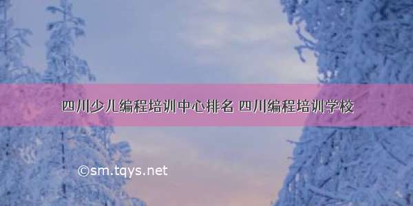 四川少儿编程培训中心排名 四川编程培训学校