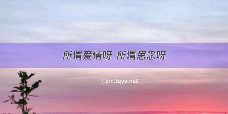 所谓爱情呀 所谓思念呀