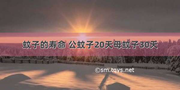 蚊子的寿命 公蚊子20天母蚊子30天