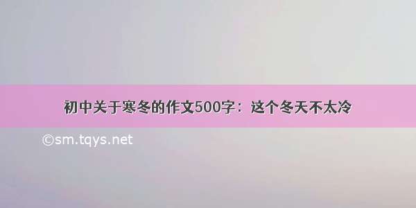 初中关于寒冬的作文500字：这个冬天不太冷