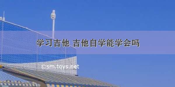 学习吉他 吉他自学能学会吗