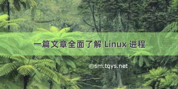 一篇文章全面了解 Linux 进程