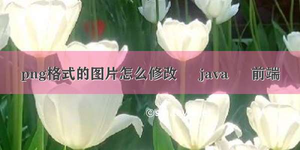 png格式的图片怎么修改 – java – 前端