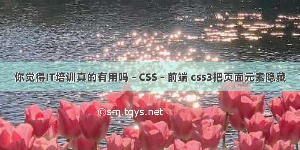 你觉得IT培训真的有用吗 – CSS – 前端 css3把页面元素隐藏