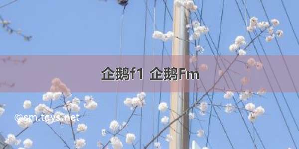 企鹅f1 企鹅Fm