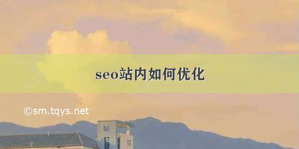 seo站内如何优化