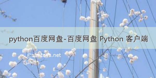 python百度网盘-百度网盘 Python 客户端