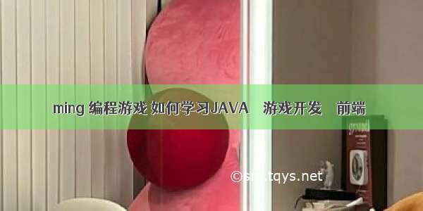 ming 编程游戏 如何学习JAVA – 游戏开发 – 前端