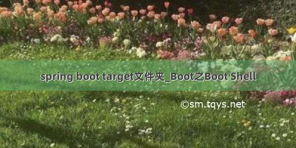 spring boot target文件夹_Boot之Boot Shell