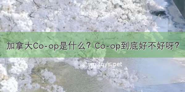 加拿大Co-op是什么？Co-op到底好不好呀？