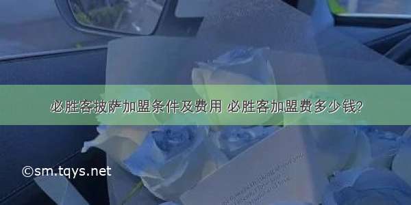 必胜客披萨加盟条件及费用 必胜客加盟费多少钱?