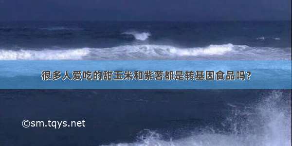 很多人爱吃的甜玉米和紫薯都是转基因食品吗？