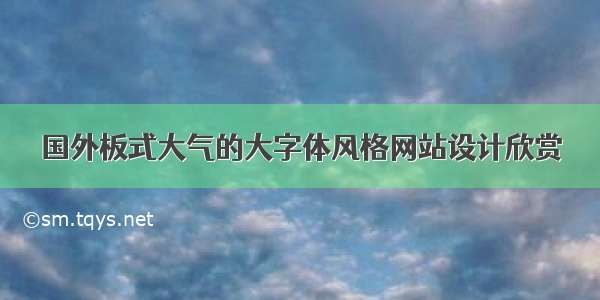 国外板式大气的大字体风格网站设计欣赏