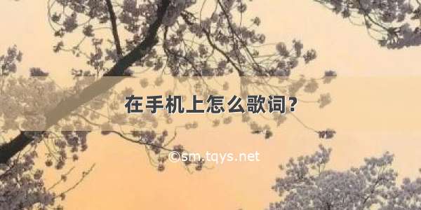 在手机上怎么歌词？