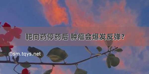 靶向药停药后 肿瘤会爆发反弹？