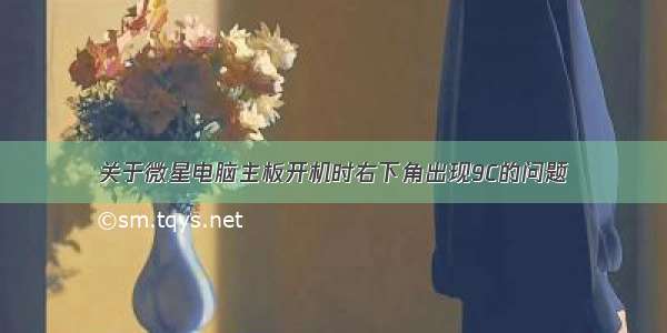 关于微星电脑主板开机时右下角出现9C的问题