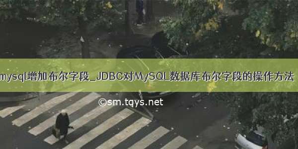 mysql增加布尔字段_JDBC对MySQL数据库布尔字段的操作方法