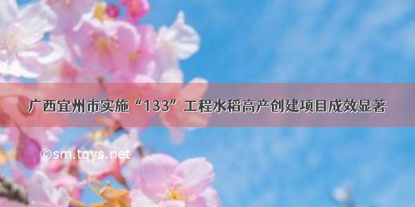 广西宜州市实施“133”工程水稻高产创建项目成效显著