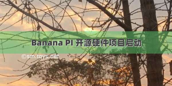 Banana PI 开源硬件项目启动