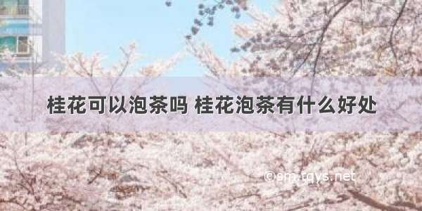 桂花可以泡茶吗 桂花泡茶有什么好处