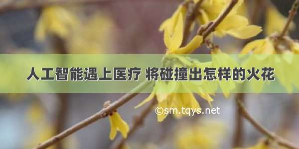 人工智能遇上医疗 将碰撞出怎样的火花