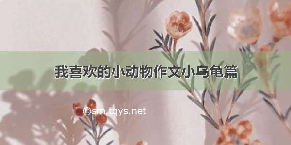 我喜欢的小动物作文小乌龟篇