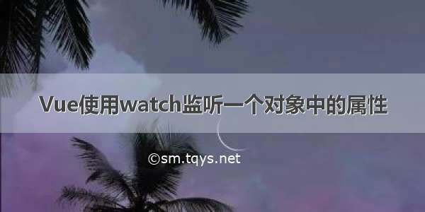 Vue使用watch监听一个对象中的属性