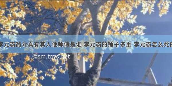 李元霸简介真有其人他师傅是谁 李元霸的锤子多重 李元霸怎么死的