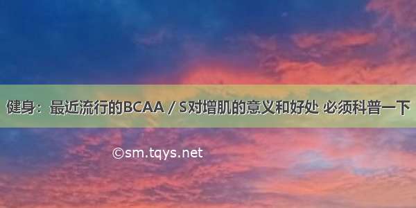 健身：最近流行的BCAA／S对增肌的意义和好处 必须科普一下