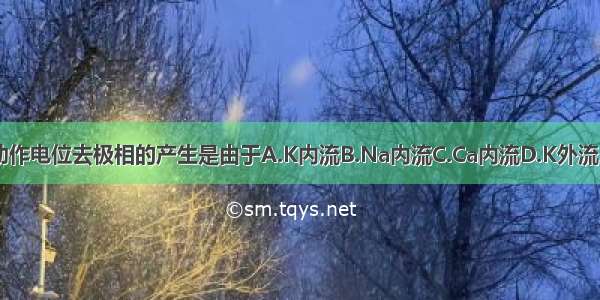 神经和肌肉细胞动作电位去极相的产生是由于A.K内流B.Na内流C.Ca内流D.K外流E.Na外流ABCDE