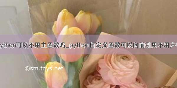 python可以不用主函数吗_python自定义函数可以向前引用不用声明