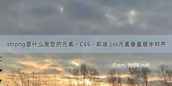 strong是什么类型的元素 – CSS – 前端 css元素垂直居中对齐
