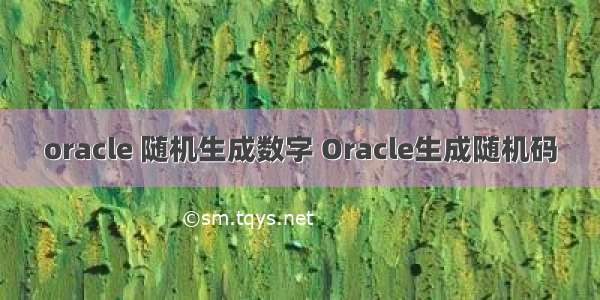 oracle 随机生成数字 Oracle生成随机码