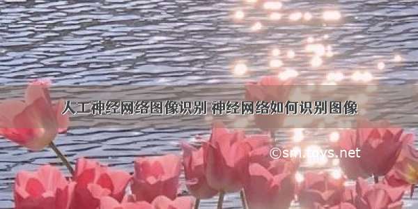 人工神经网络图像识别 神经网络如何识别图像