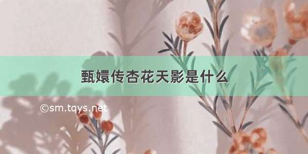 甄嬛传杏花天影是什么