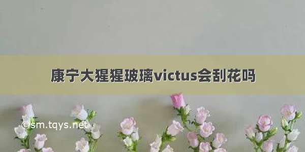 康宁大猩猩玻璃victus会刮花吗