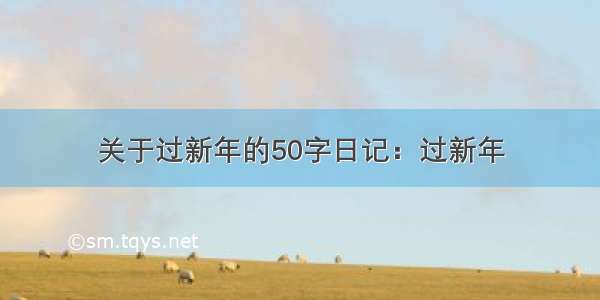 关于过新年的50字日记：过新年