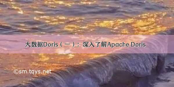 大数据Doris（一）：深入了解Apache Doris