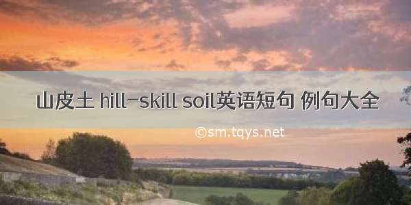 山皮土 hill-skill soil英语短句 例句大全