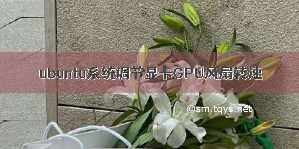 ubuntu系统调节显卡GPU风扇转速