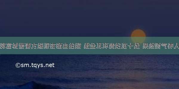 郭富城爱妻方媛深夜晒自拍照 戴金耳环贵妇范十足 果然财气养人