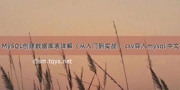 MySQL创建数据库表详解（从入门到实战） csv导入mysql 中文