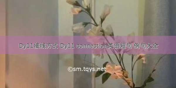 Dy11接线方式 Dy11 connection英语短句 例句大全