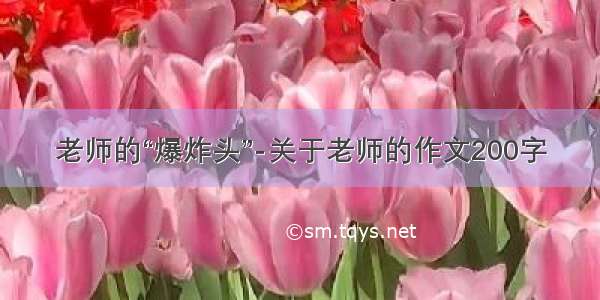 老师的“爆炸头”-关于老师的作文200字