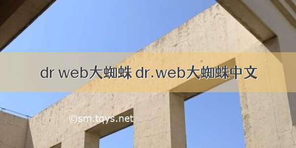 dr web大蜘蛛 dr.web大蜘蛛中文