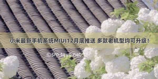 小米最新手机系统MIUI12月底推送 多款老机型均可升级！