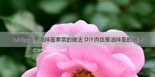 DIY肉丝葱油拌面家常的做法 DIY肉丝葱油拌面的做法