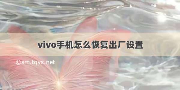 vivo手机怎么恢复出厂设置