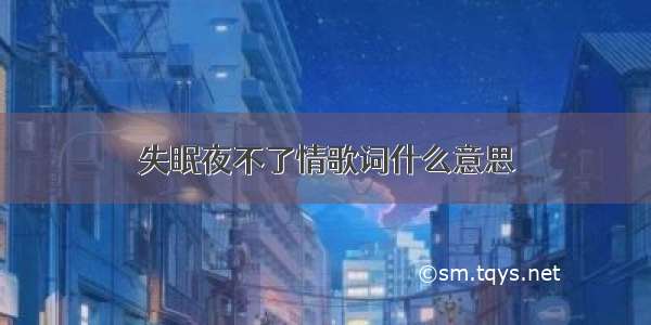 失眠夜不了情歌词什么意思